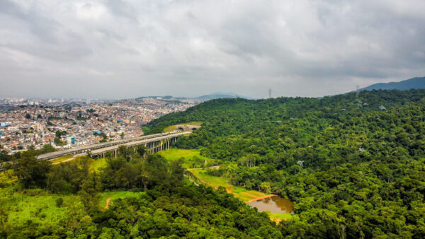 El regalo verde de São Paulo