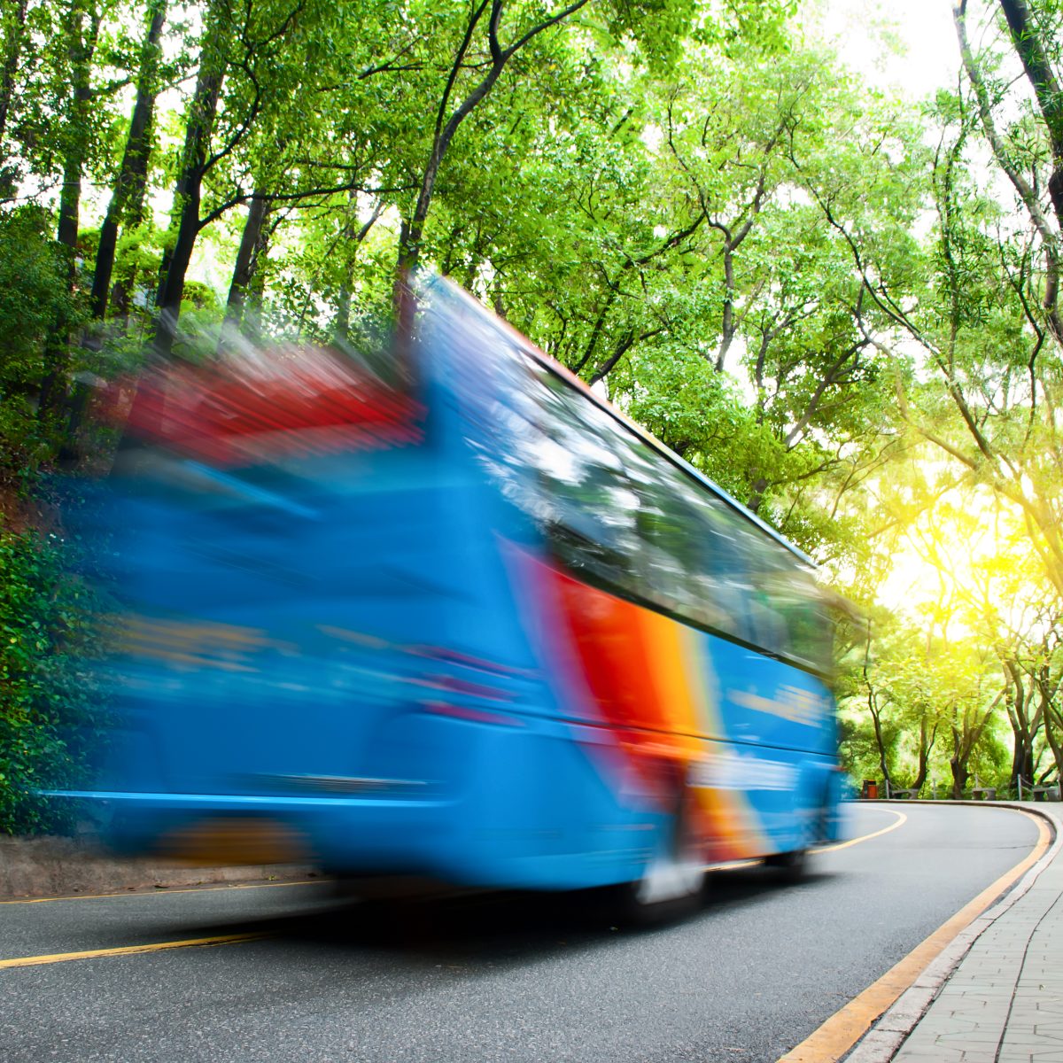 Bus driving on the road through a forest with green leafy trees.